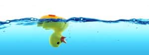 Duck-IT service provider