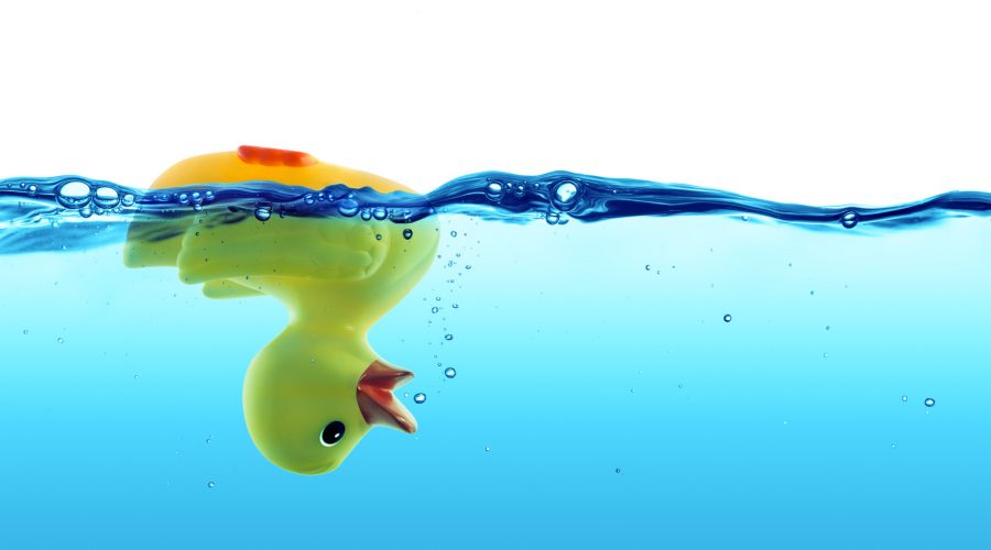 Duck-IT service provider