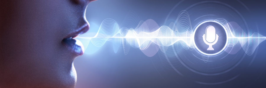 Digital Assistant