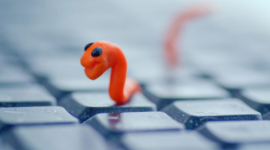 worm virus on keyboard - cyberattacks